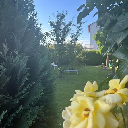 Idyllische Gaestehaus Im Gruenen Altenstadt