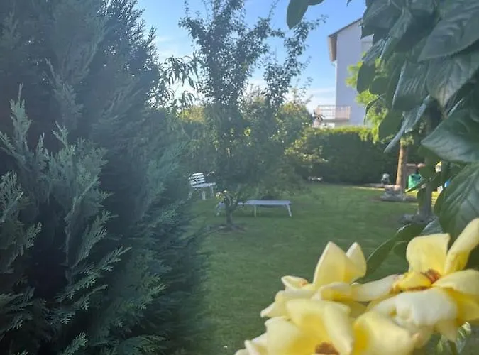 Idyllische Gaestehaus Im Gruenen Altenstadt